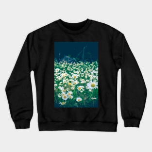 Exuberant Crewneck Sweatshirt